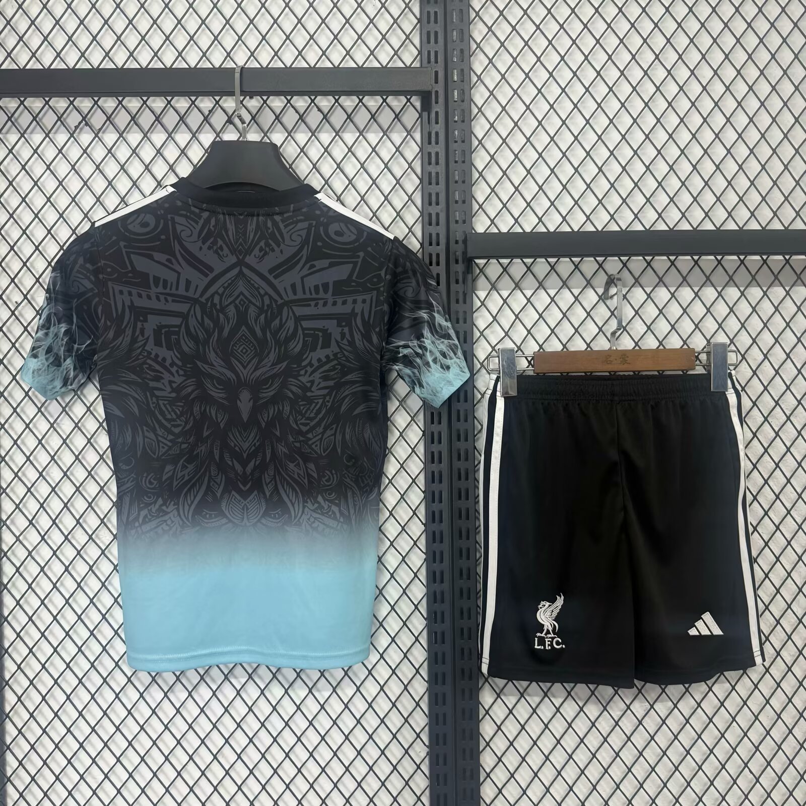Alternative view of Liverpool Special Edition