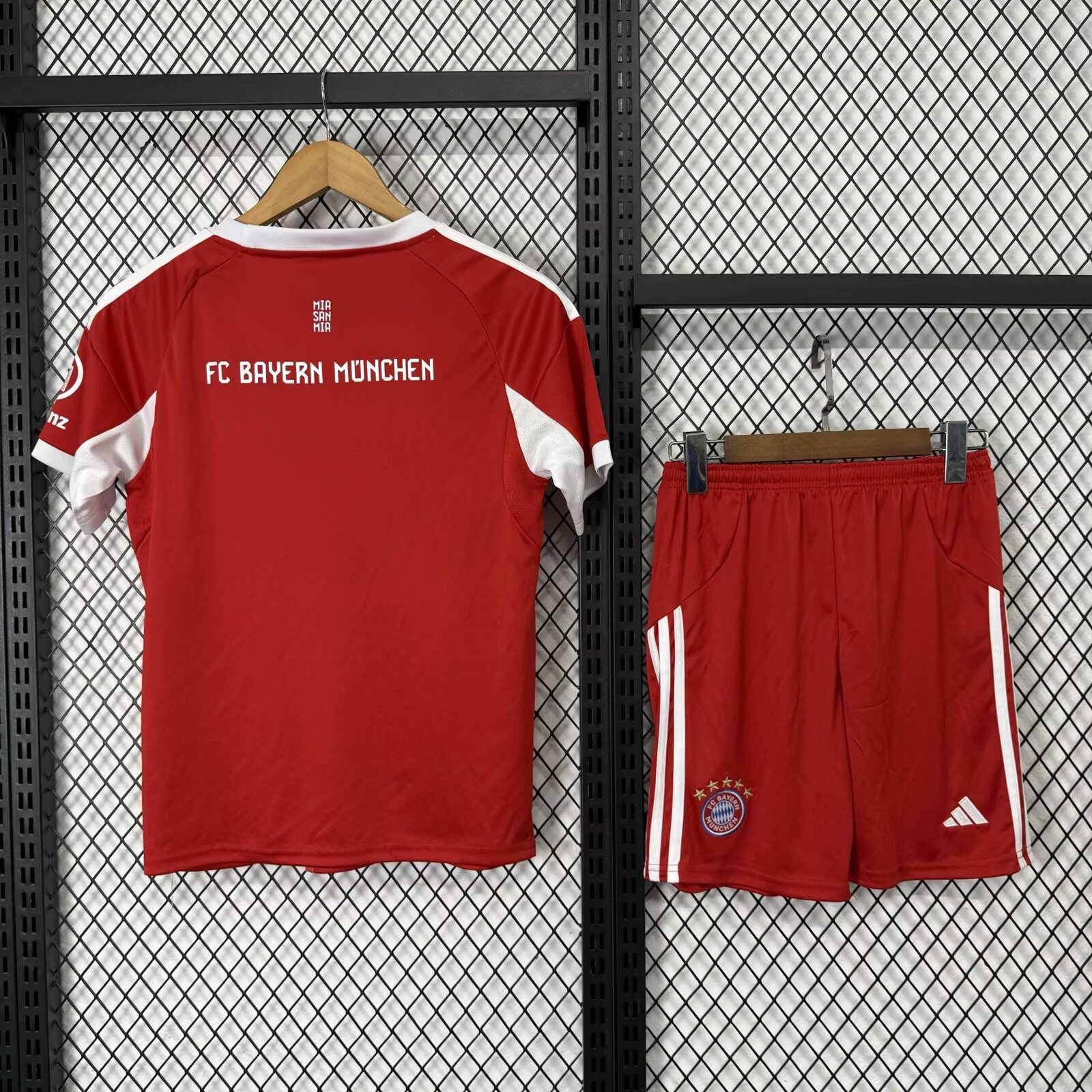 Alternative view of 2526 Bayern Munich host
