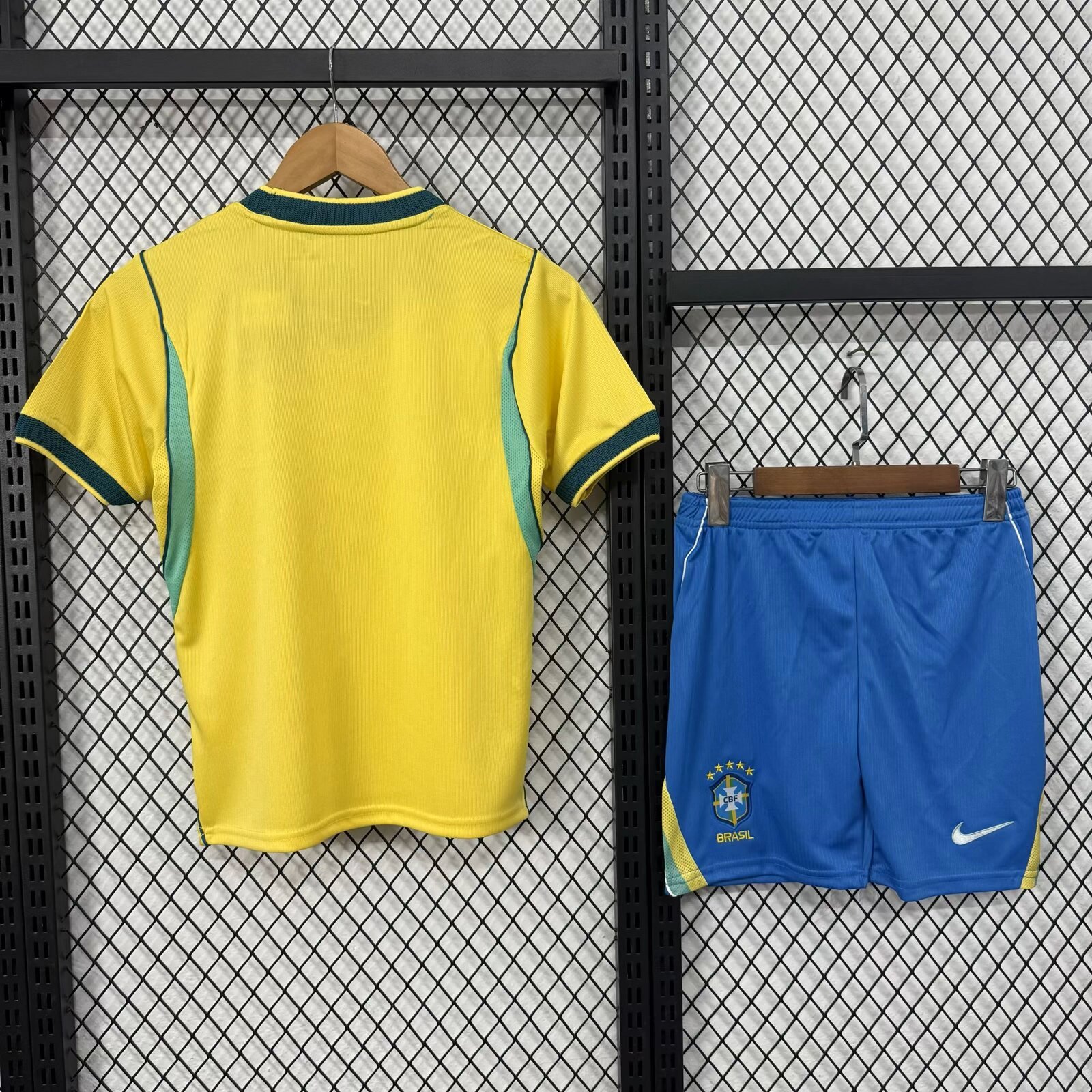 Alternative view of 2627 Brazilian host
