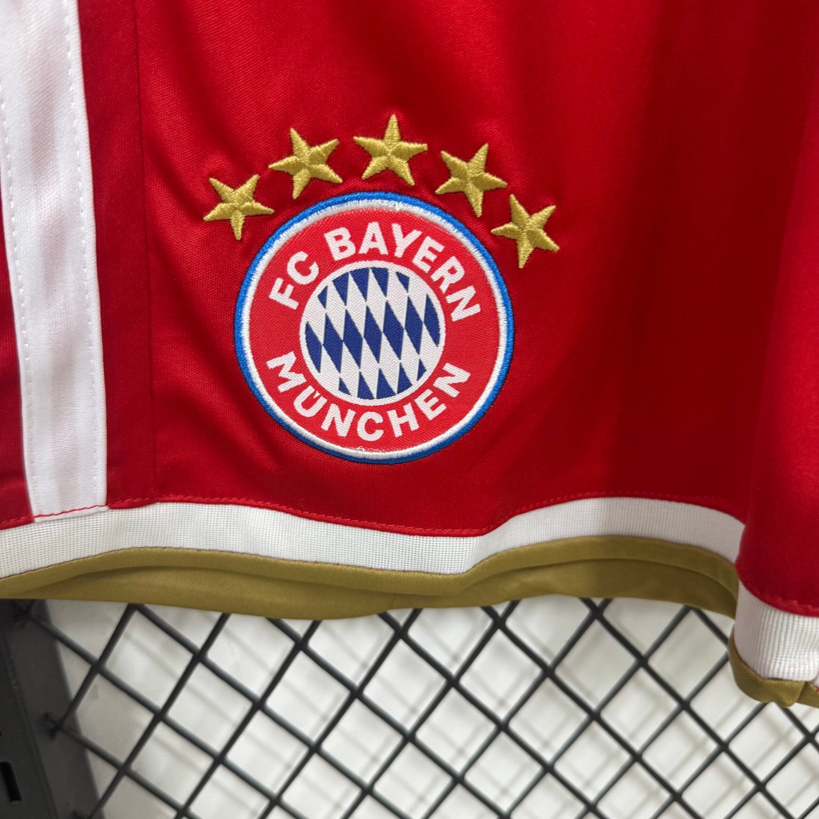 Alternative view of 2627 Bayern Munich host